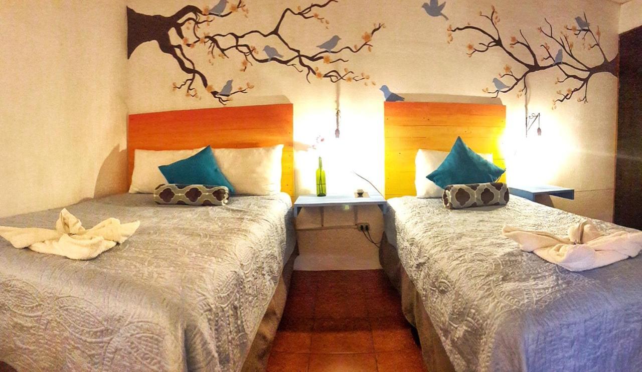 Hotel Y Arte Norte Antigua Zewnętrze zdjęcie